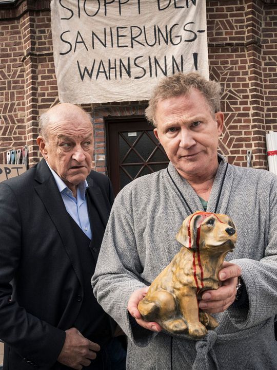 Wilsberg: Mogelpackung : Kinoposter