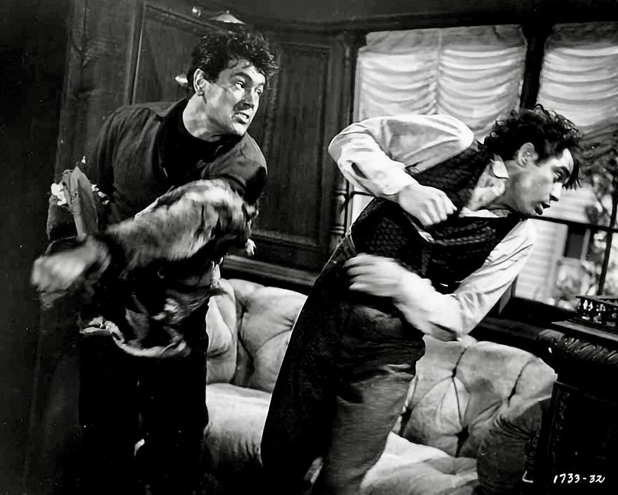 Allen Gefahren zum Trotz : Bild