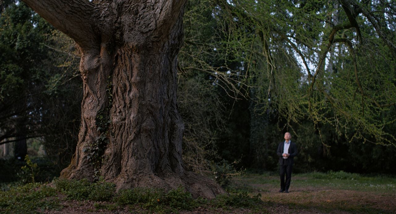 Silent Friend : Bild Tony Leung Chiu-Wai