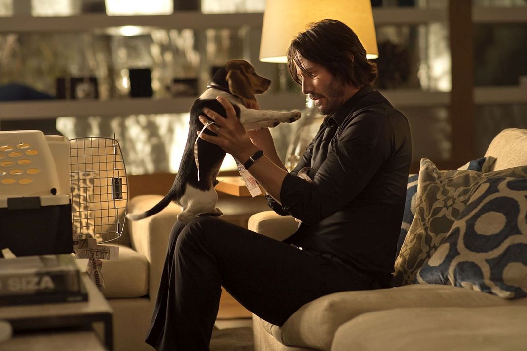 Wick Is Pain : Bild Keanu Reeves