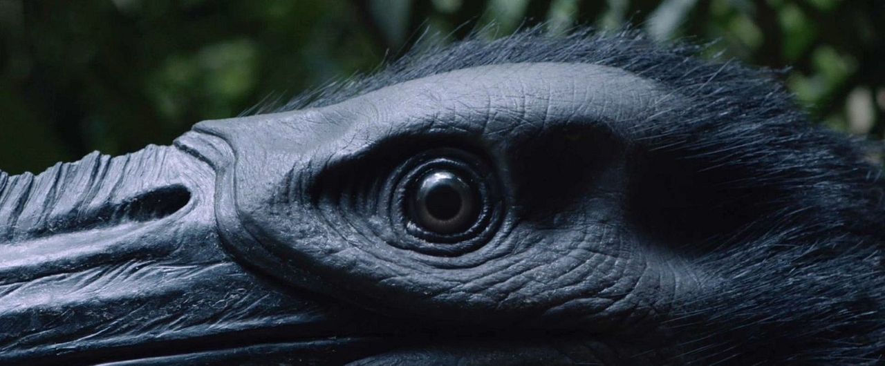 Loop Track - Am Ende lauert der Tod : Bild