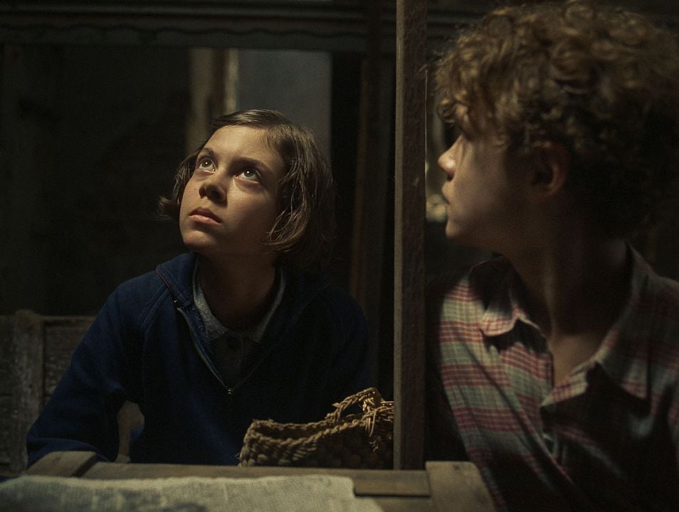 Andor Hirsch  : Bild Bojtorján Barabas