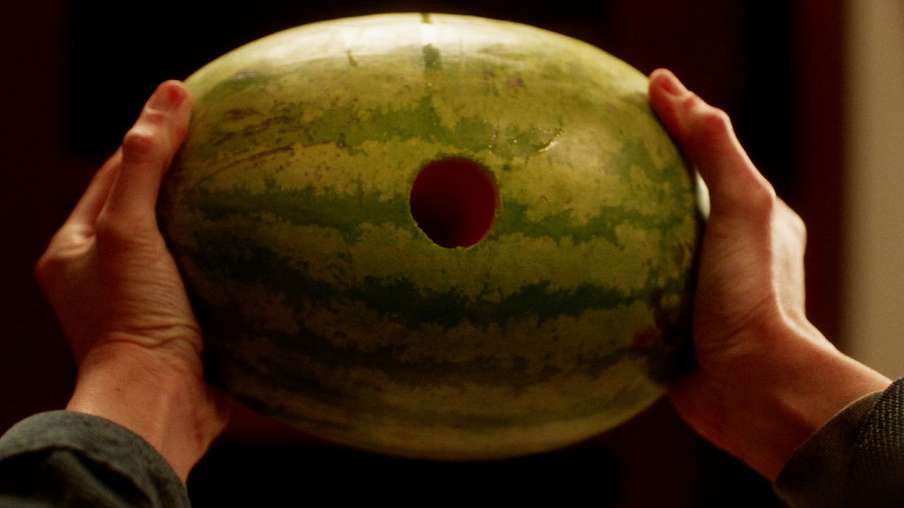 Liebe, Sex und andere Desaster : Bild