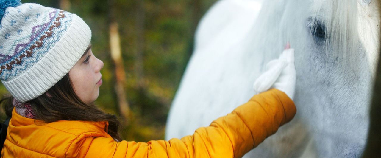 Das Geheimnis des Einhorns : Bild