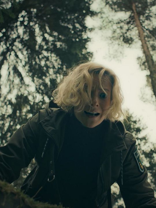 Erzgebirgskrimi: Über die Grenze : Kinoposter