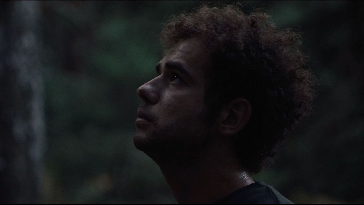 Buzzheart : Bild Claudio Kaya