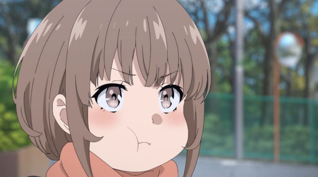 Rascal Does Not Dream Of A Sister Venturing Out : Bild