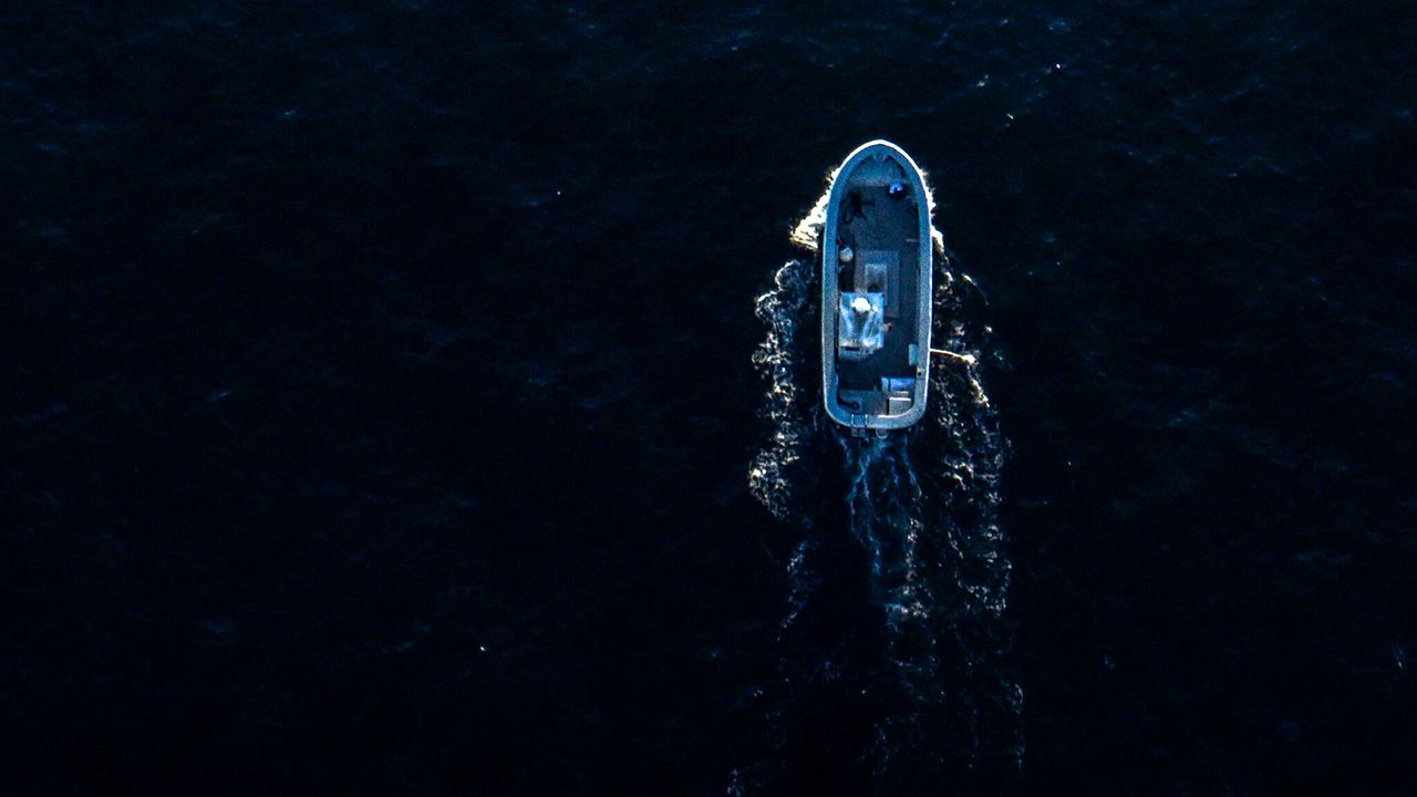 Der Fall Nathan Carman : Bild