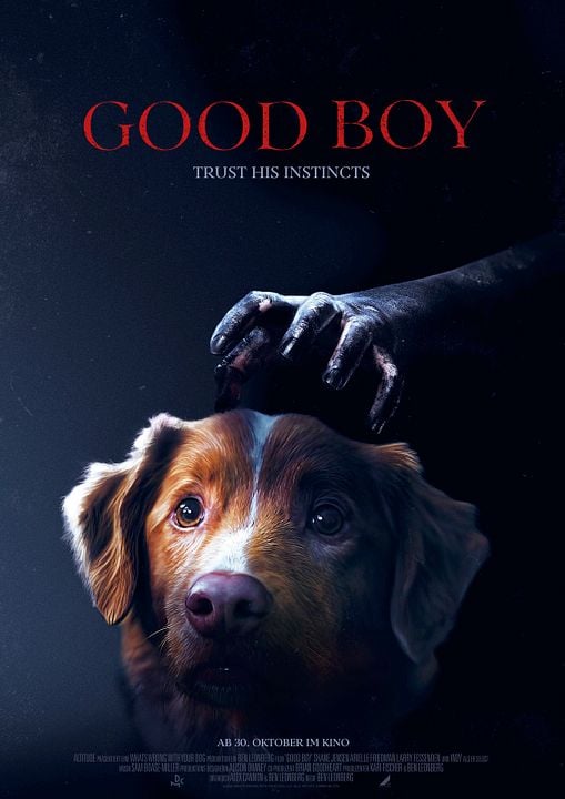 Good Boy - Trust His Instincts : Kinoposter