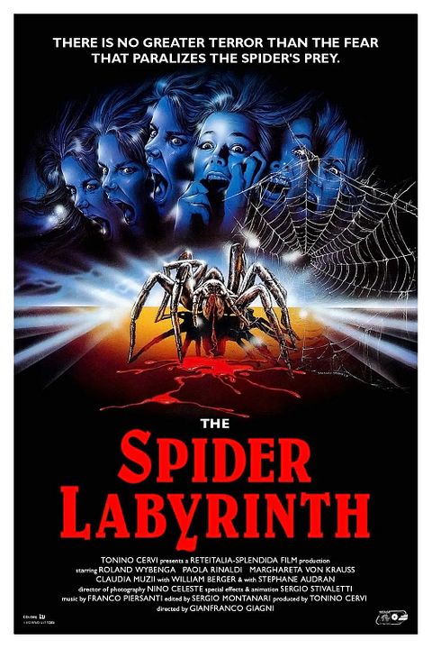 Spider Labyrinth - In den Fängen der Todestarantel : Kinoposter