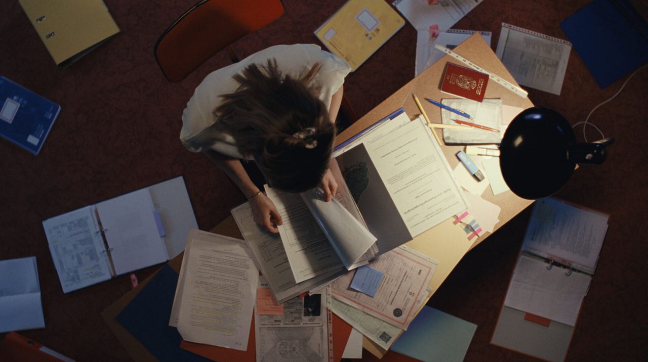 Noch lange keine Lipizzaner : Bild