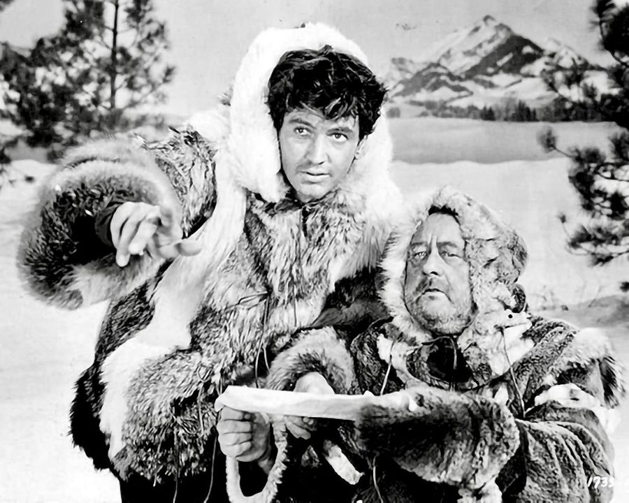 Allen Gefahren zum Trotz : Bild