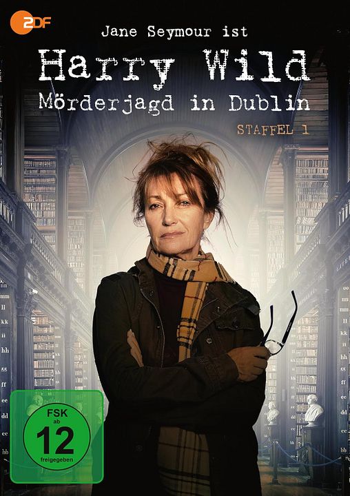 Harry Wild - Mörderjagd in Dublin : Kinoposter