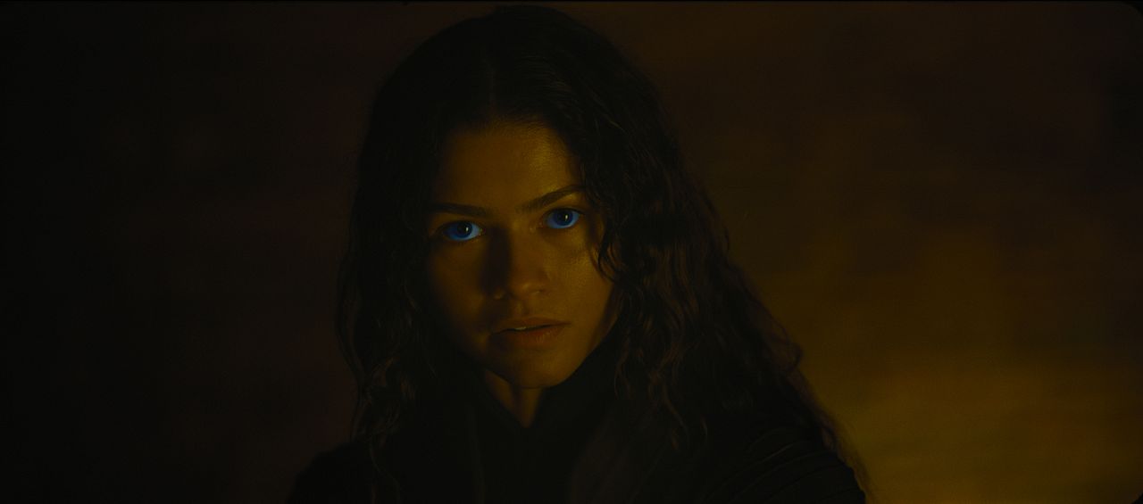 Dune 3 : Bild