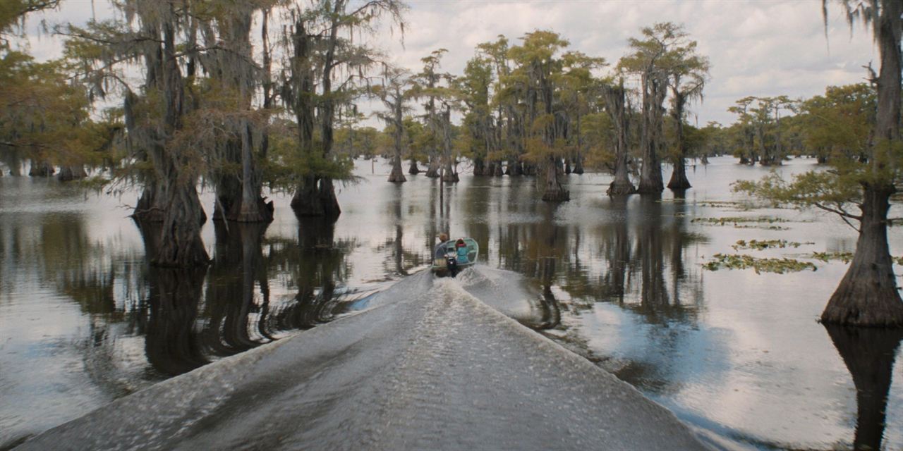 Caddo Lake : Bild