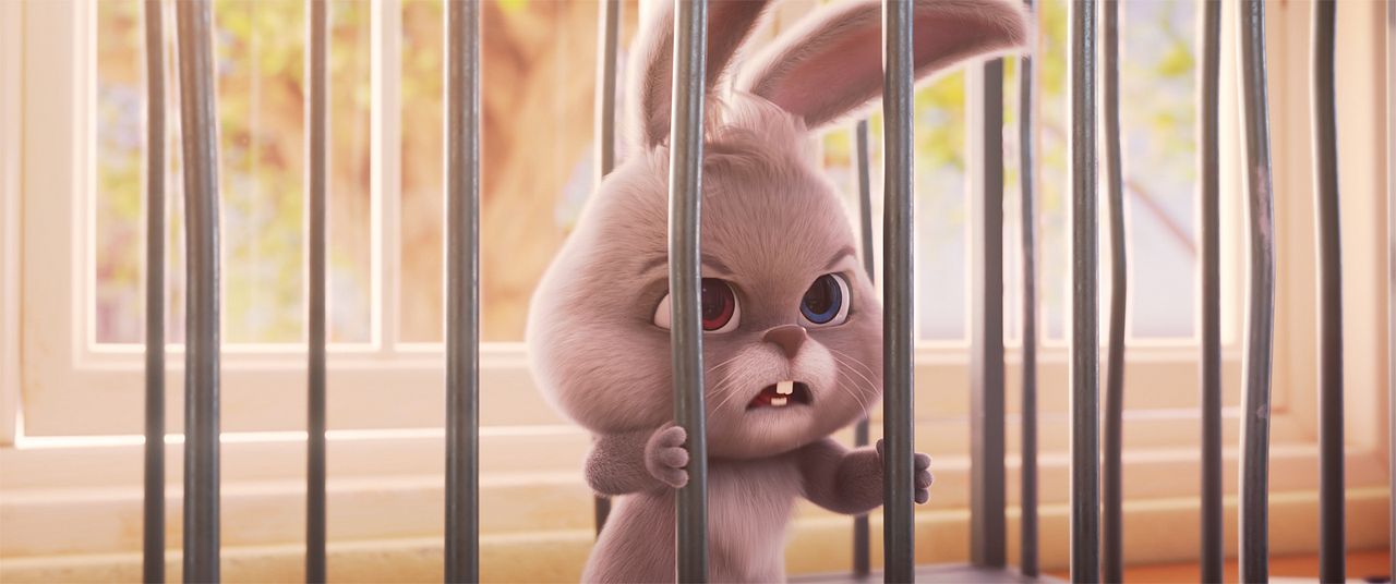 Der schlaue Hase Momo – Die große Verfolgung : Bild