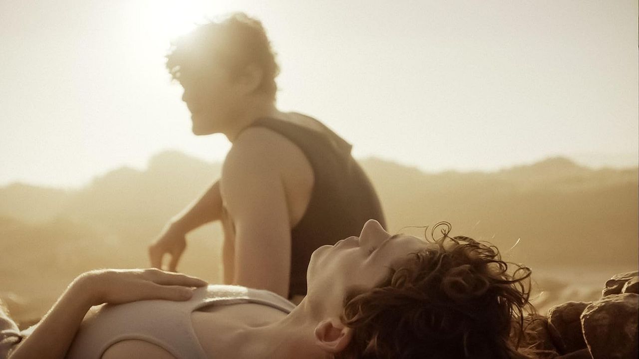 Lilies Not For Me : Bild