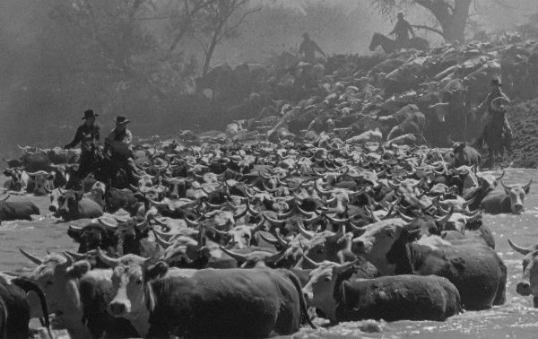 Kampf ohne Gnade : Bild