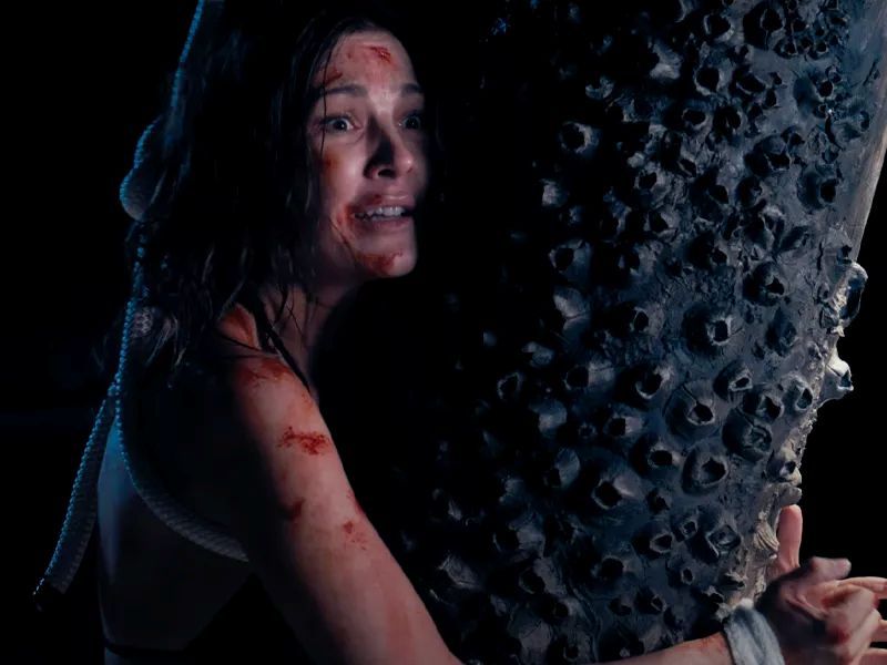 Mutilator 2 : Bild