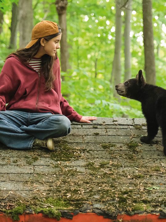 Melody For A Bear  : Kinoposter