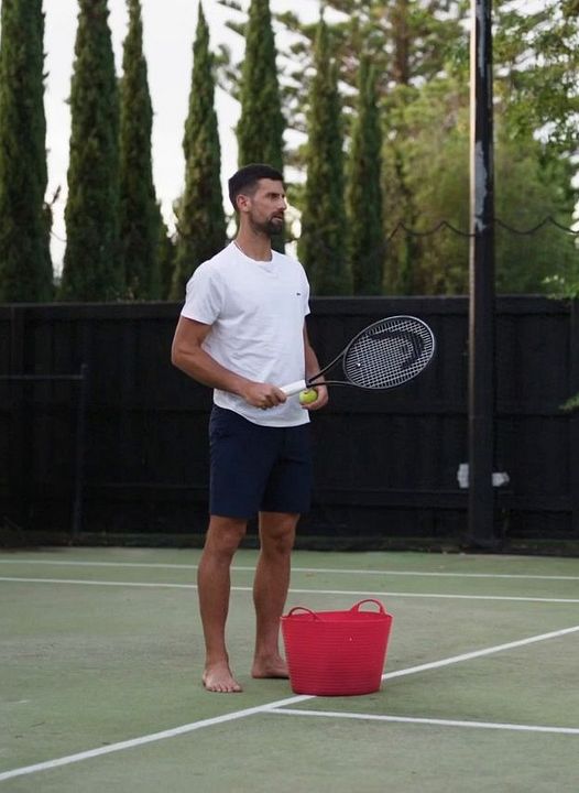 Novak Djokovic: Der Wolf im Winter : Kinoposter