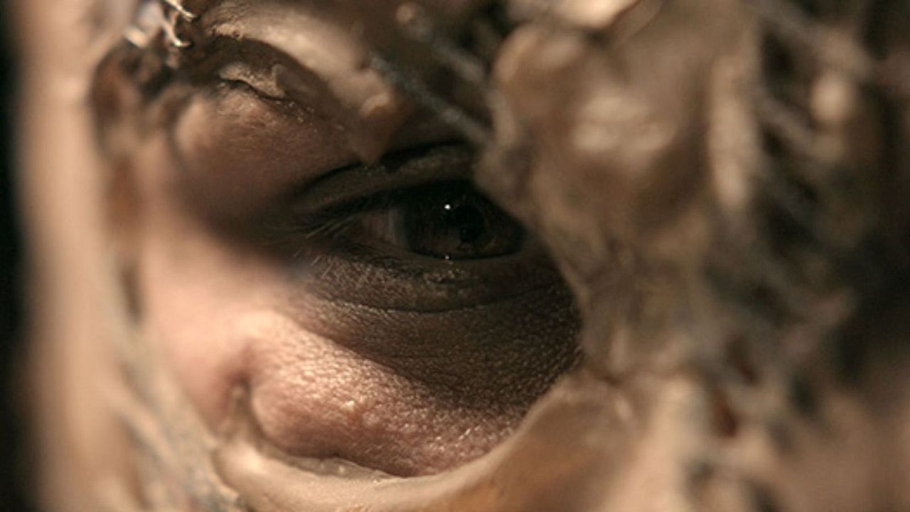 Play Dead - Die Todgeweihte : Bild