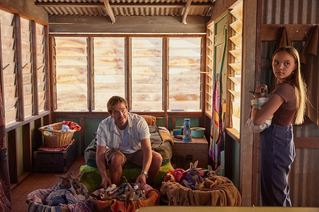 Lilly und die Kängurus : Bild