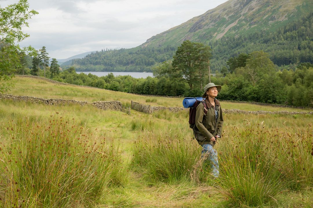 Bridget Jones - Verrückt nach ihm : Bild Renée Zellweger