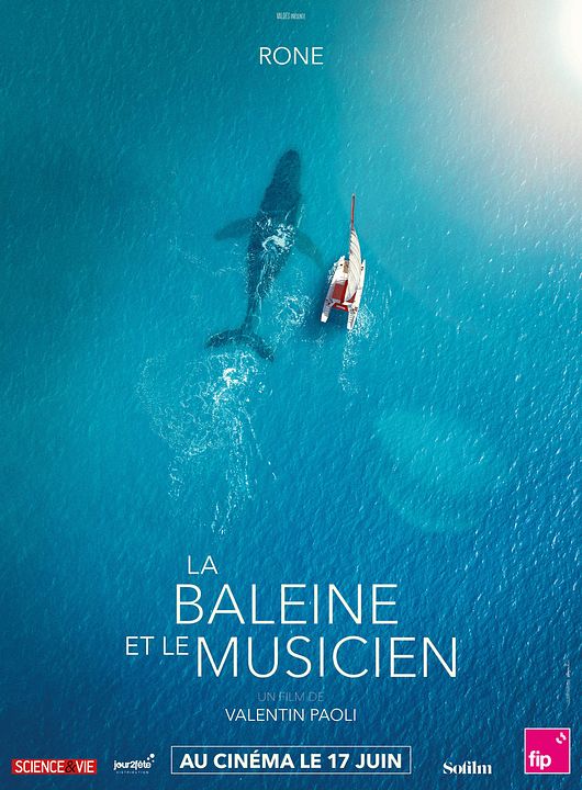 The Musician and the Whale : Kinoposter