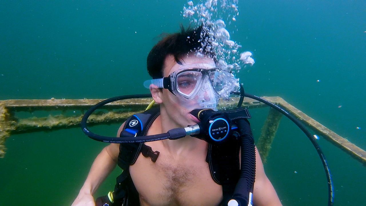 Below - Schrecken aus der Tiefe : Bild