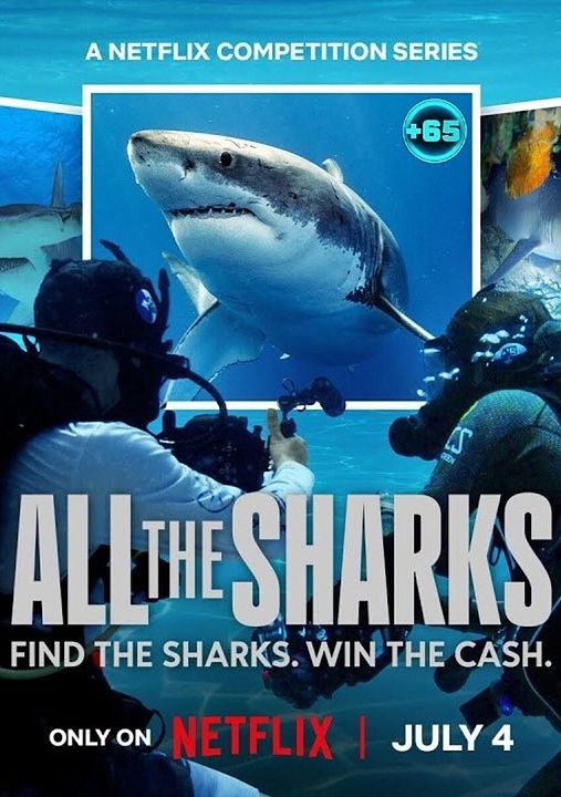 All the Sharks : Kinoposter