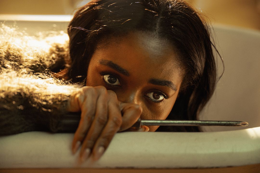 Alfred Morettis Opus : Bild