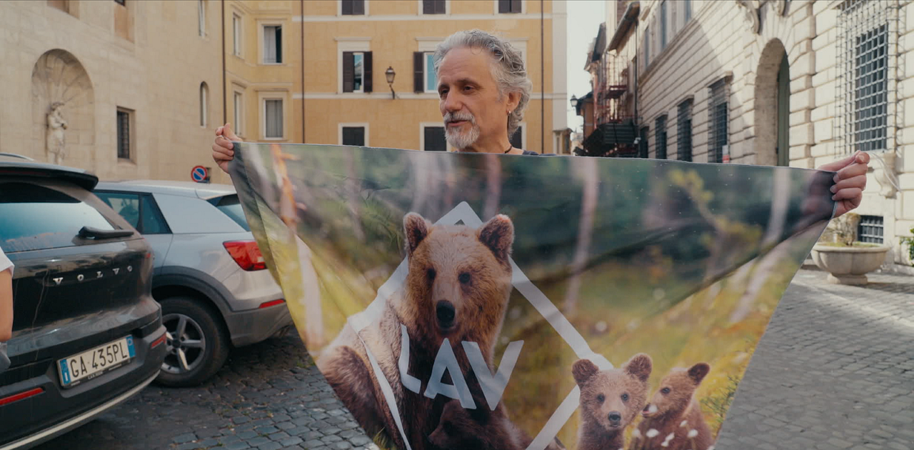 Gefährlich nah – Wenn Bären töten : Bild