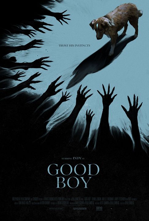 Good Boy - Trust His Instincts : Kinoposter