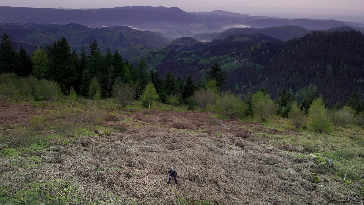 Friendly Fire - Erich Fried : Bild