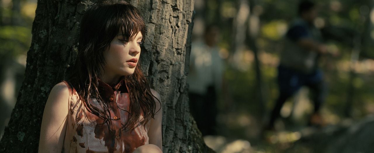 Companion - Die perfekte Begleitung : Bild