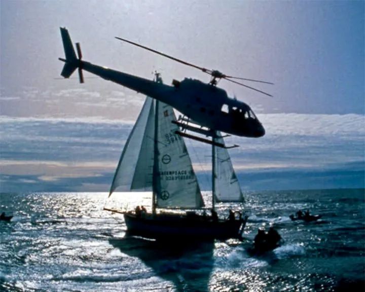 Anschlag auf die 'Rainbow Warrior' : Bild