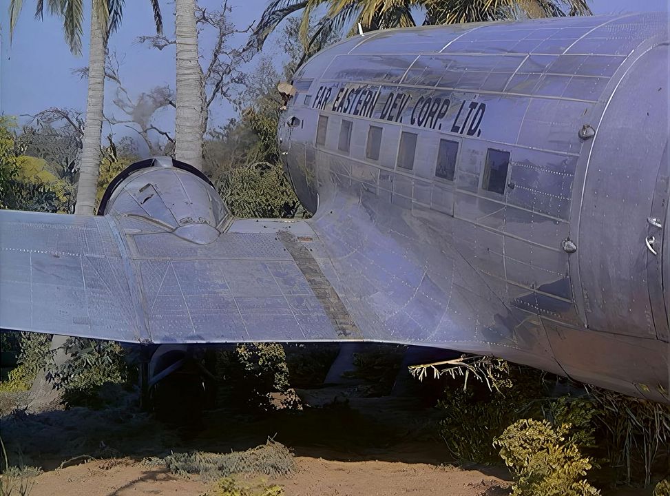 Gefangene des Dschungels : Bild