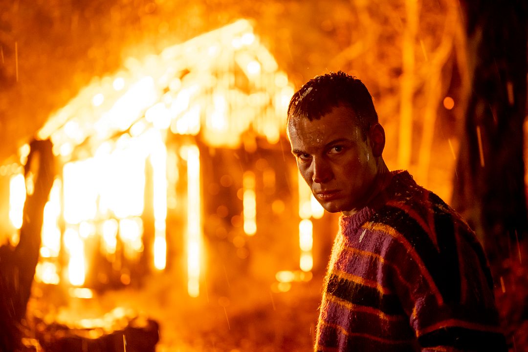 Der Wald in mir : Bild