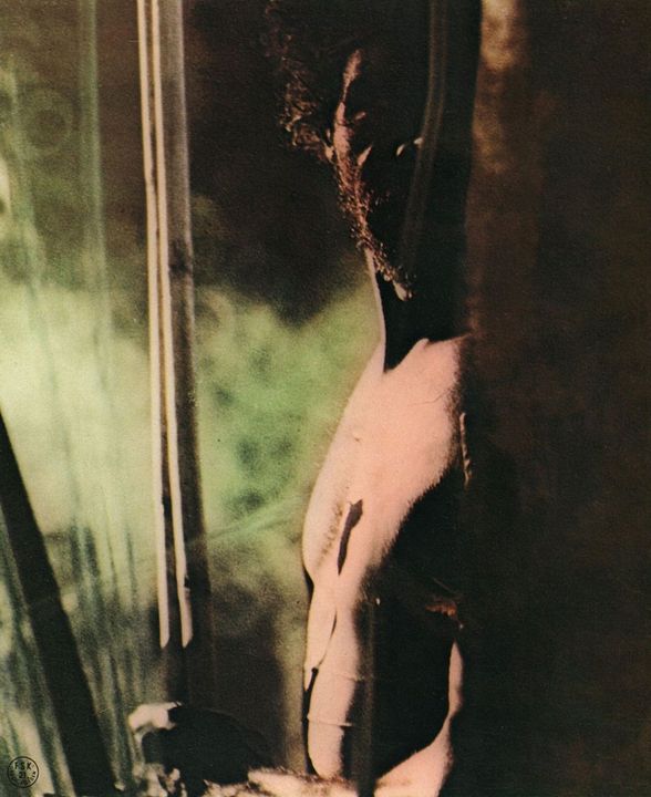 Mondo Bestiale - Der letzte Schrei des Dschungels : Bild