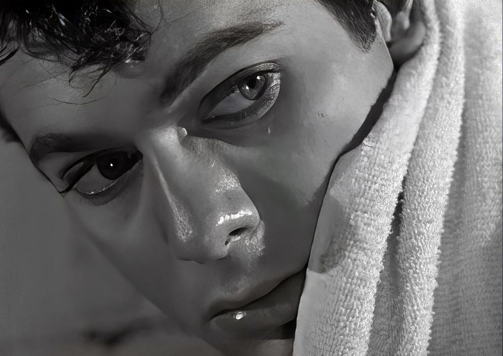 Sein großer Kampf : Bild Tony Curtis