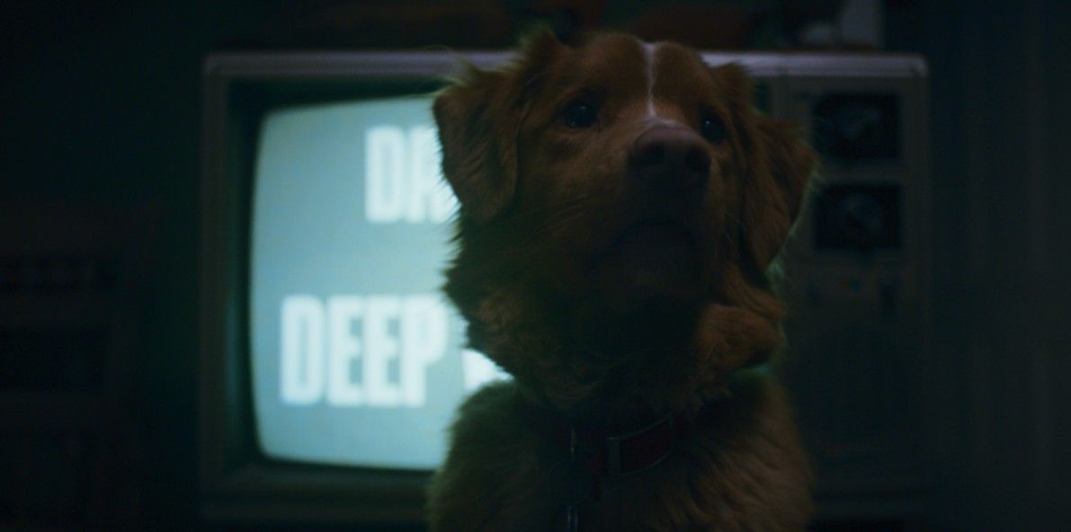 Good Boy - Trust His Instincts : Bild Indy (II) 