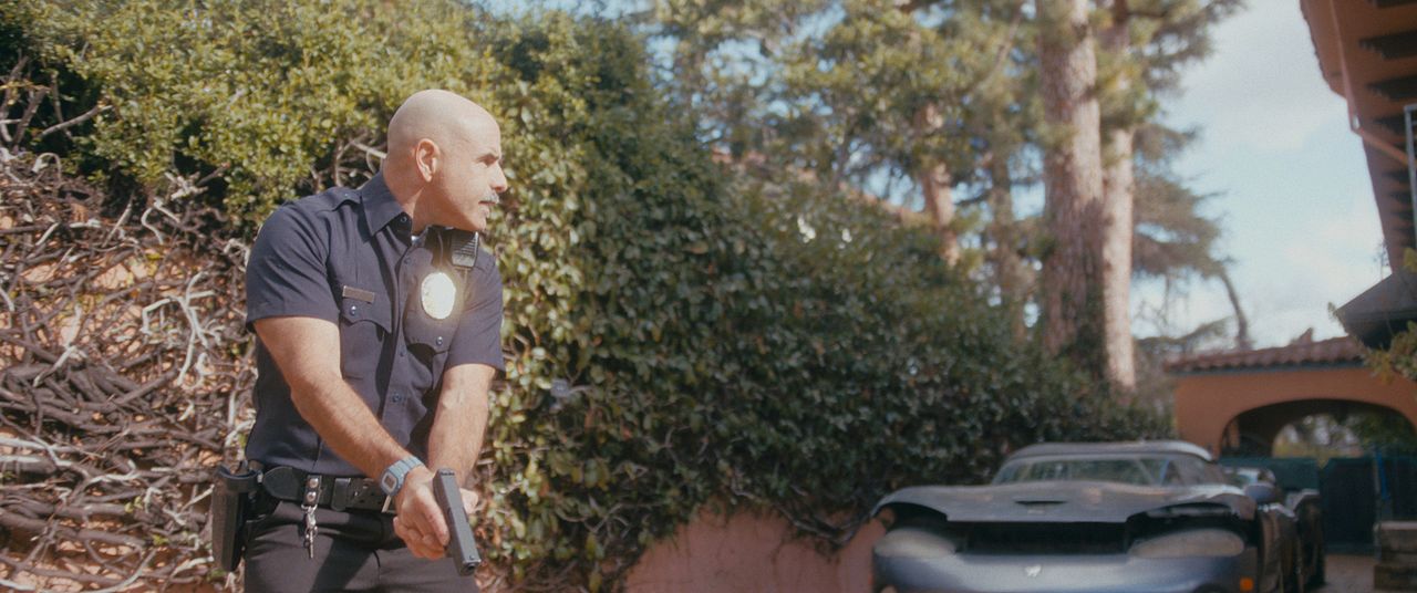 Hochstapler und Ponys : Bild