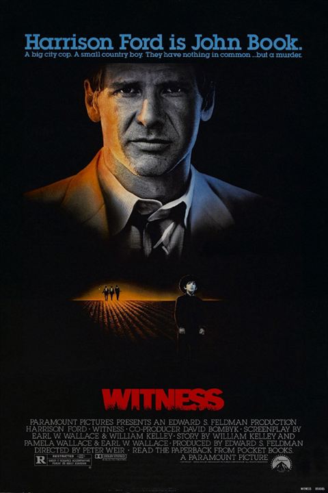 Der einzige Zeuge : Kinoposter