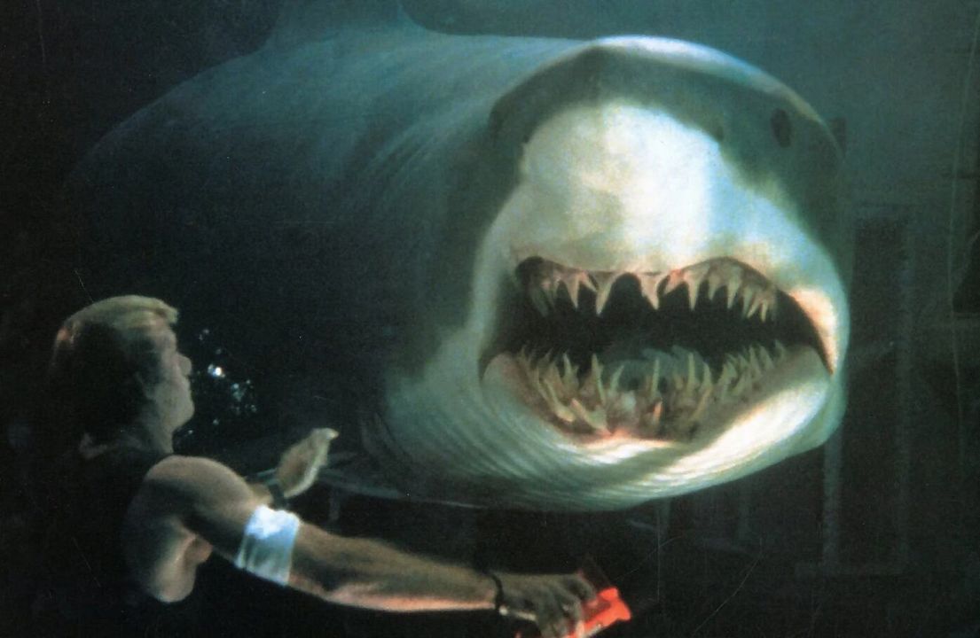 Deep Water: Umringt von Haien : Bild Aaron Eckhart