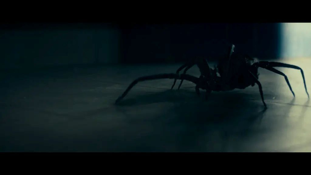 Crawlers – Im Netz der Spinnen : Bild