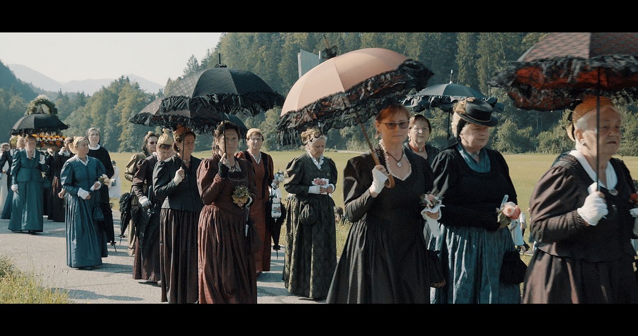 Traditionelle Europäische Medizin - Eine Spurensuche : Bild