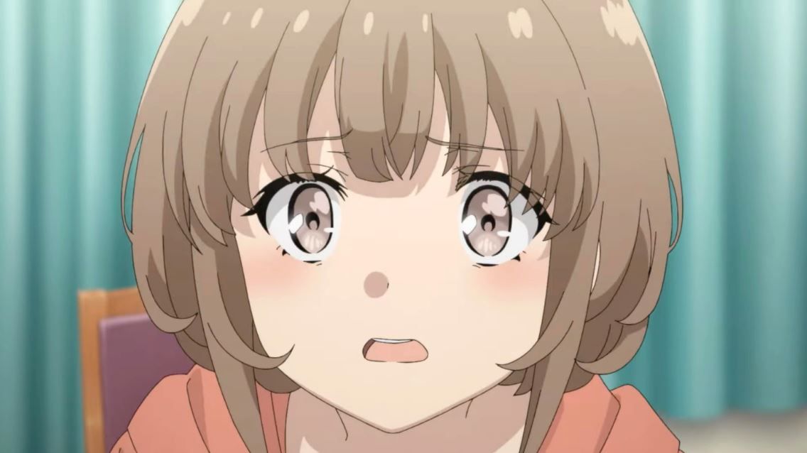 Rascal Does Not Dream Of A Sister Venturing Out : Bild