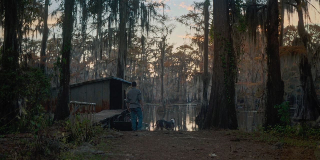 Caddo Lake : Bild