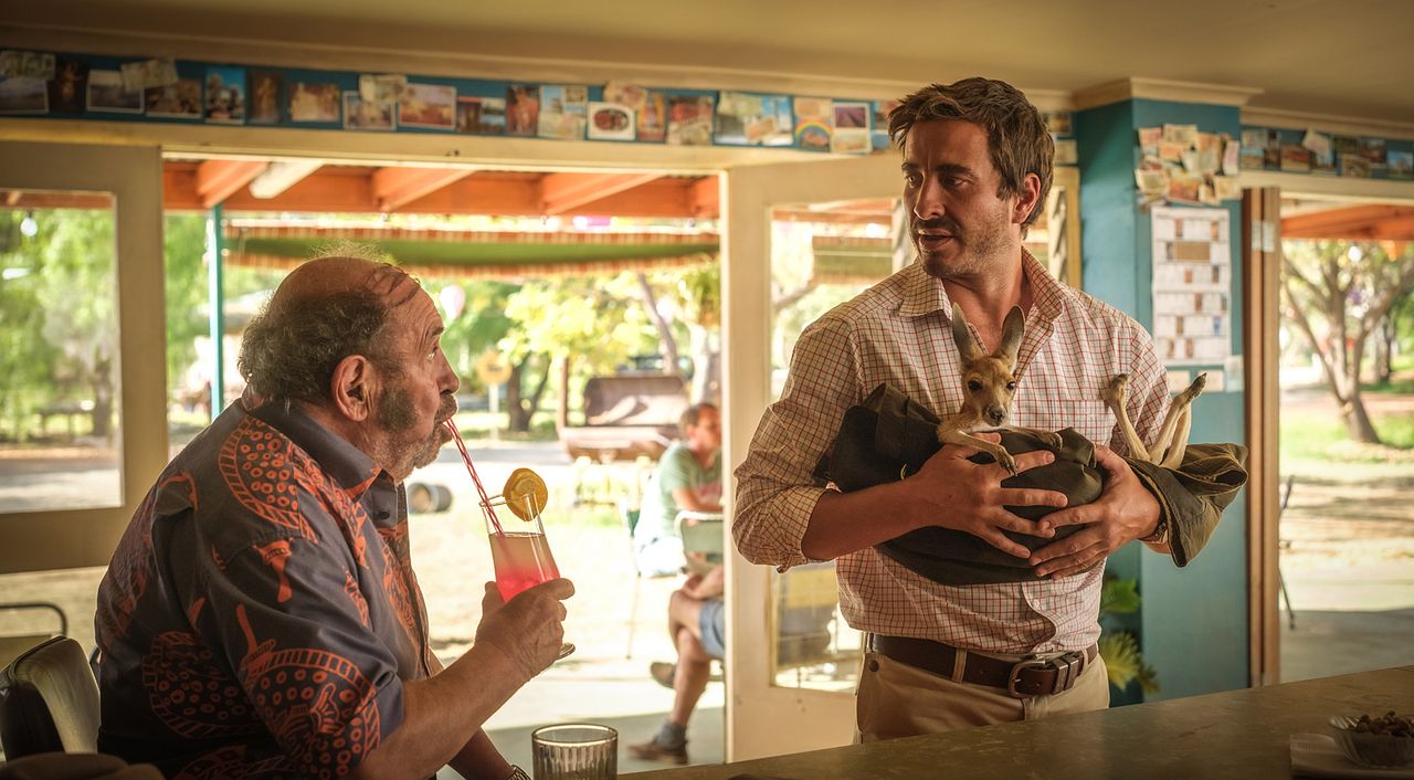 Lilly und die Kängurus : Bild